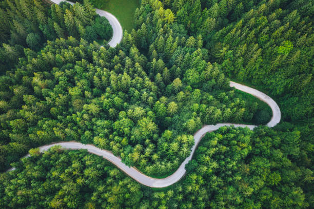 The Path You Choose