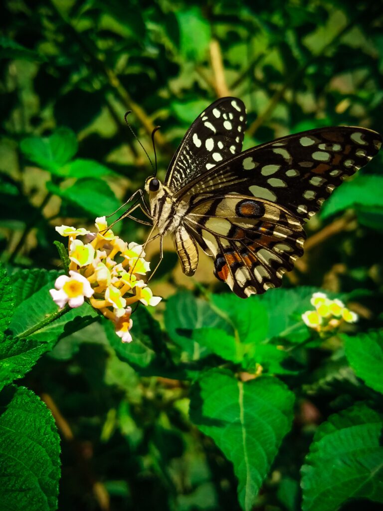 How to Move with Intention in a Season of Transition
